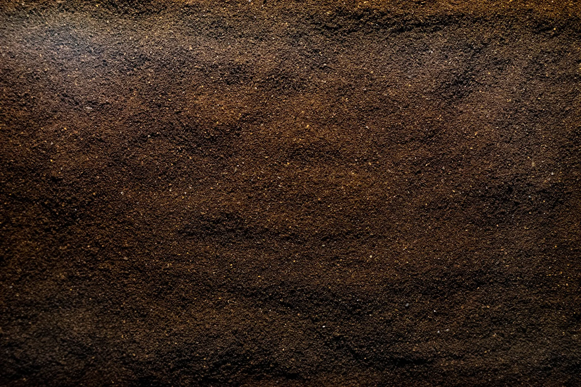 Fondi di caffè da vicino