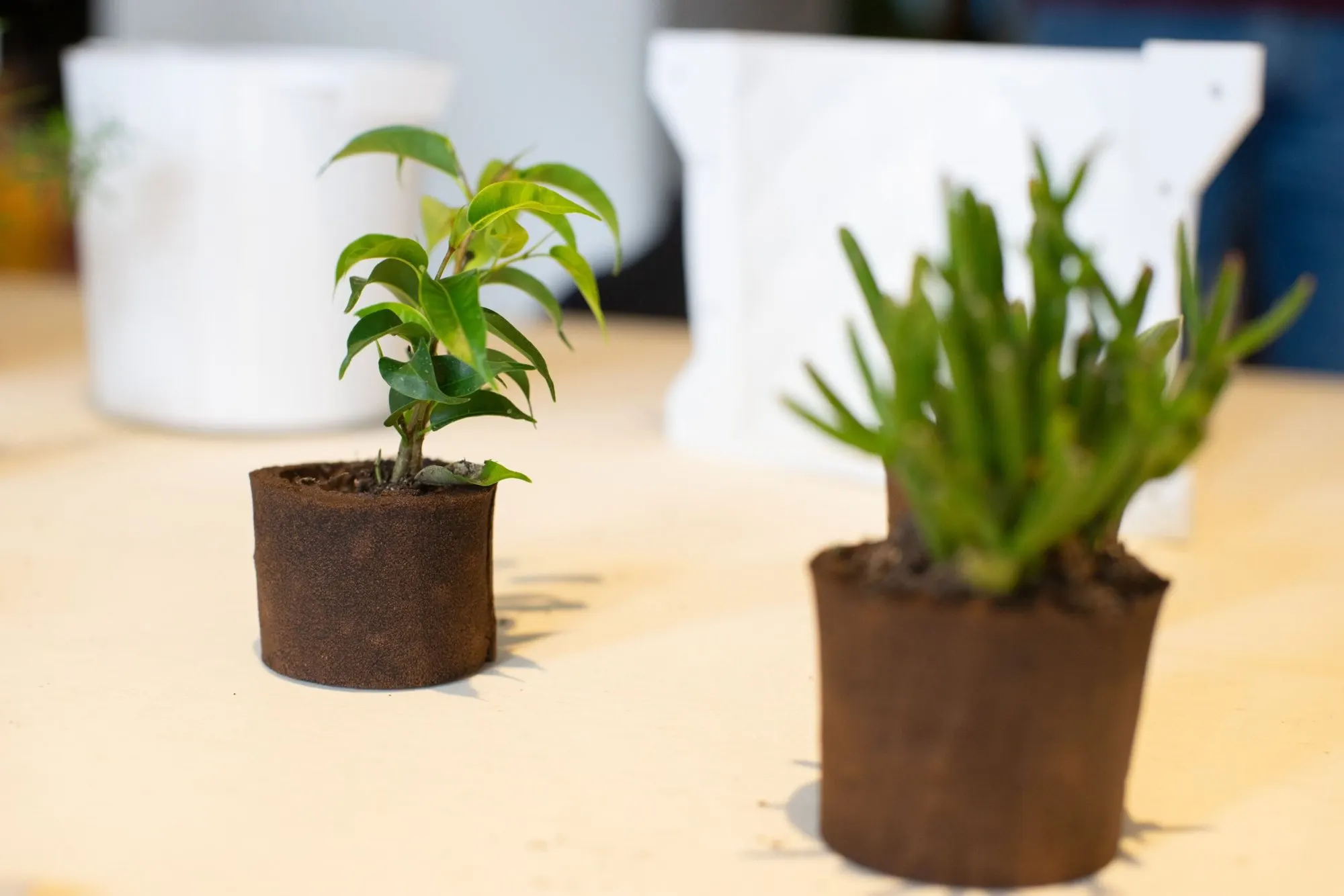 Workshop Bioplastiche Caffè, laboratorio biomateriali Re-fè